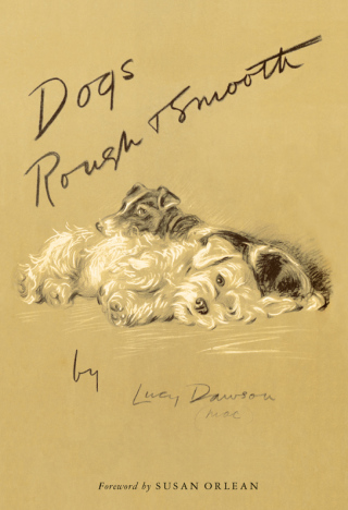 Imagen de portada: Dogs Rough and Smooth 9780062412911