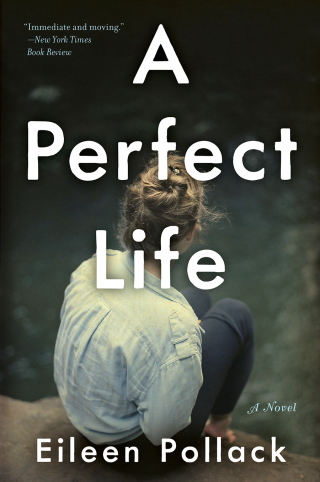 Imagen de portada: A Perfect Life 9780062419187