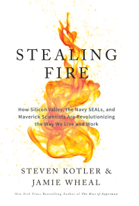 Cover image: Stealing Fire 9780062429667