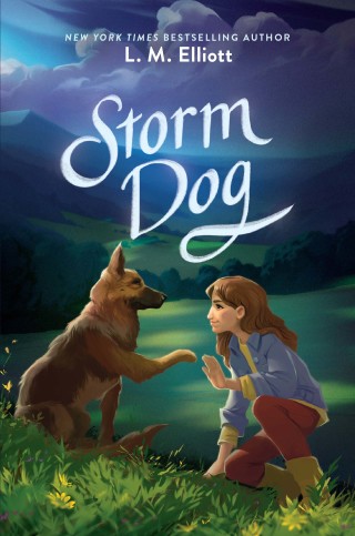Cover image: Storm Dog 9780062430007