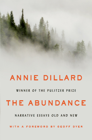 Cover image: The Abundance 9780062432964