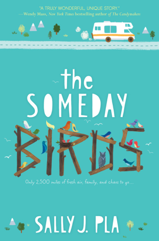 Cover image: The Someday Birds 9780062445773