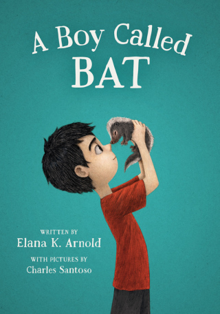 Cover image: A Boy Called Bat 9780062445834
