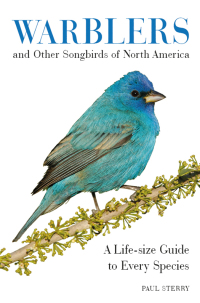 صورة الغلاف: Warblers and Other Songbirds of North America 9780062446817