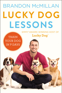 Cover image: Lucky Dog Lessons 9780062479020
