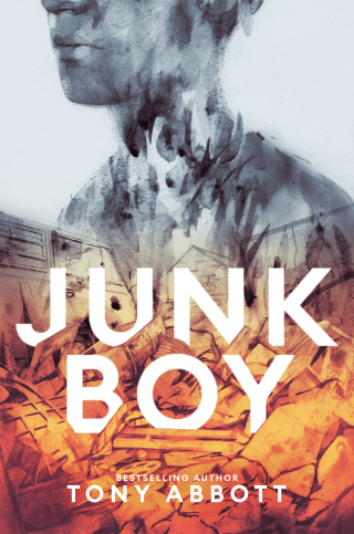Cover image: Junk Boy 9780062491251