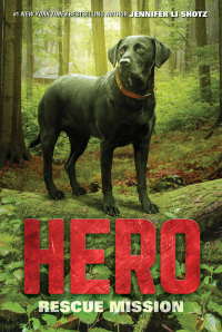 Imagen de portada: Hero: Rescue Mission 9780062560452