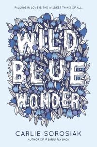 Cover image: Wild Blue Wonder 9780062564009