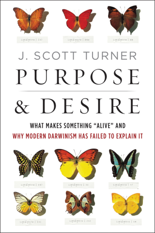表紙画像: Purpose and Desire 9780062651570