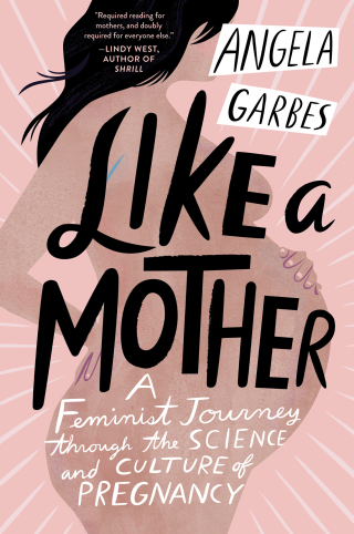 Cover image: Like a Mother 9780062662958