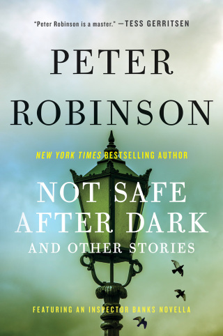 Cover image: Not Safe After Dark 9780062673893