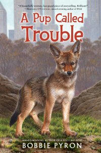Cover image: A Pup Called Trouble 9780062685230