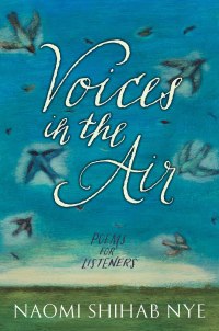 Cover image: Voices in the Air 9780062691859