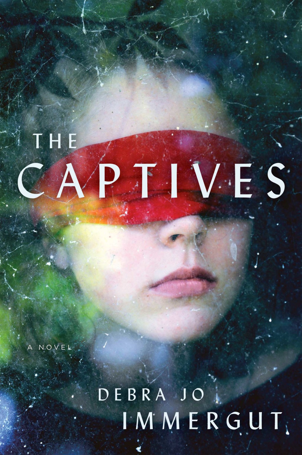 The Captives eBook