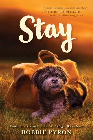 Cover image: Stay 9780062839237