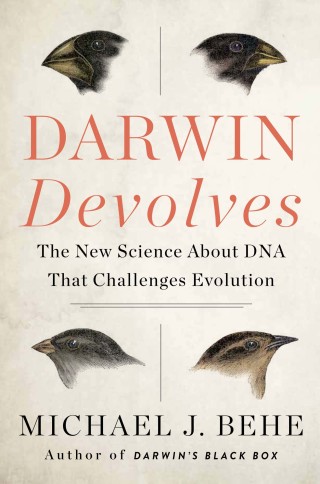 Cover image: Darwin Devolves 9780062842664