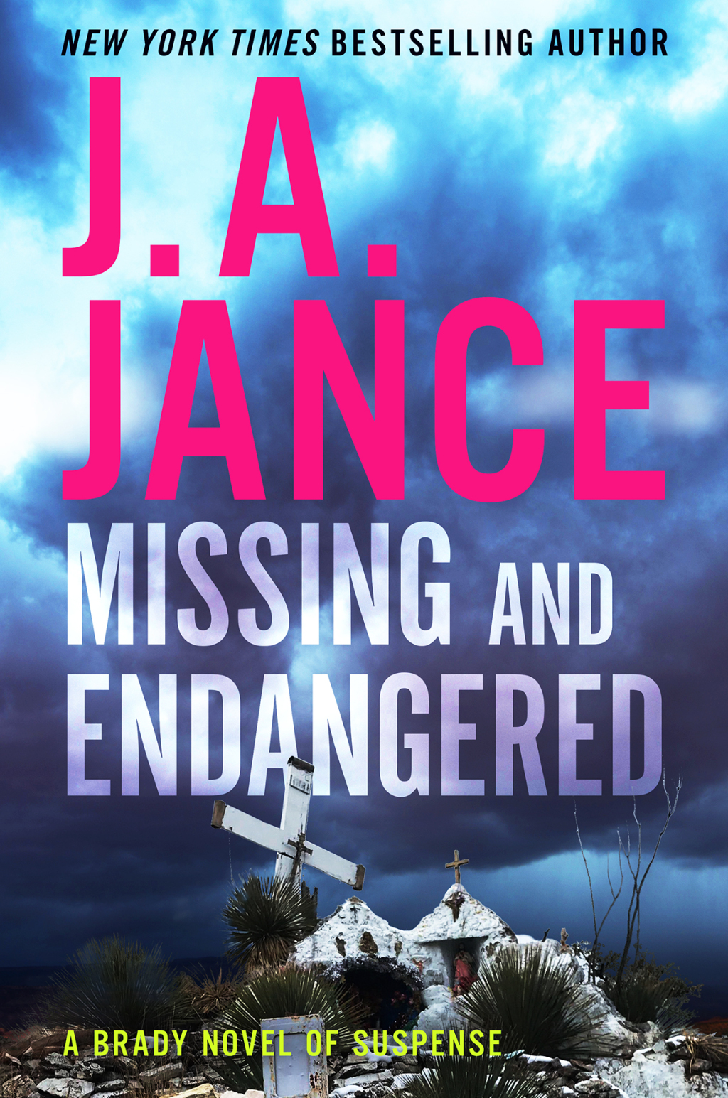 Missing and Endangered A Brady Novel of Suspense