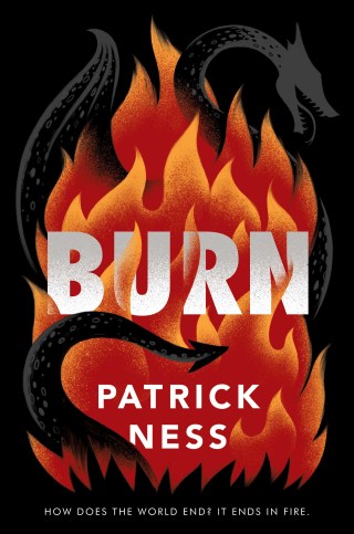 Cover image: Burn 9780062869500