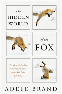 Cover image: The Hidden World of the Fox 9780062966117
