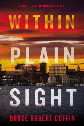 Imagen de portada: Within Plain Sight 9780062971340