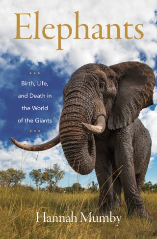 Cover image: Elephants 9780062987860