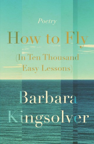 Cover image: How to Fly (In Ten Thousand Easy Lessons) 9780062993083