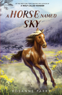 Cover image: A Horse Named Sky 9780062995957