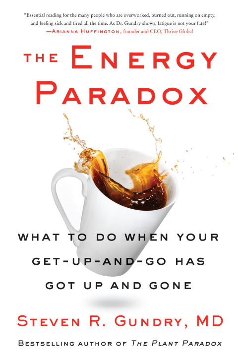 The Energy Paradox : What to Do When Your Get-Up-and-Go Has Got Up and Gone - FULL INSTANT DOWNLOAD | PDF DOCX EPUB