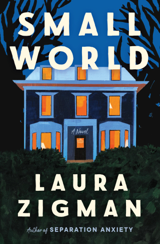 Cover image: Small World 9780063088290