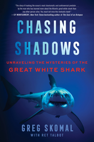 Cover image: Chasing Shadows 9780063090842