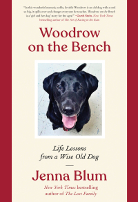 Cover image: Woodrow on the Bench 9780063113190