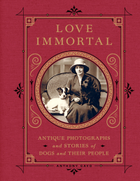 Cover image: Love Immortal 9780063204294