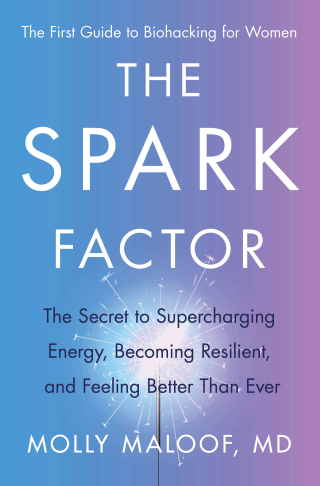 Cover image: The Spark Factor 9780063207202