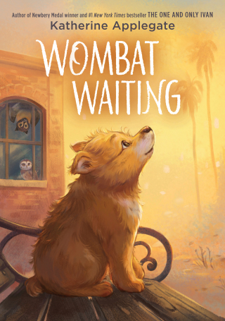 Cover image: Wombat Waiting 9780063221178