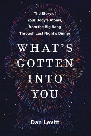 Cover image: What's Gotten Into You 9780063251205