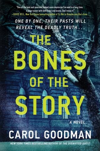 Cover image: The Bones of the Story 9780063265240