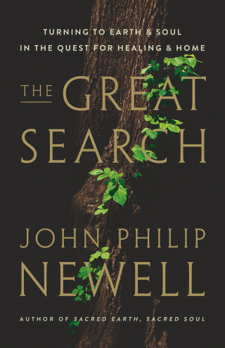 Cover image: The Great Search 9780063286627