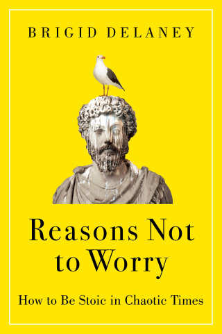 Cover image: Reasons Not to Worry 9780063314832