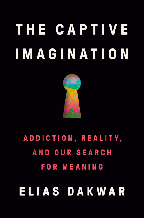 The Captive Imagination : Addiction, Reality, and Our Search for Meaning - FULL INSTANT DOWNLOAD | PDF DOCX EPUB