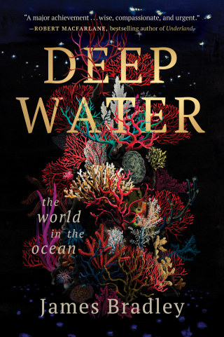 Cover image: Deep Water 9780063390171