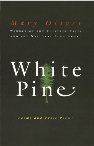 Cover image: White Pine 9780156001205