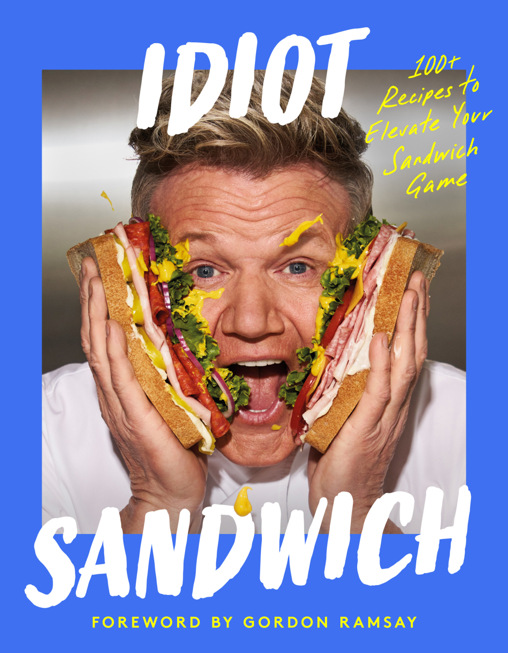 Idiot Sandwich eBook