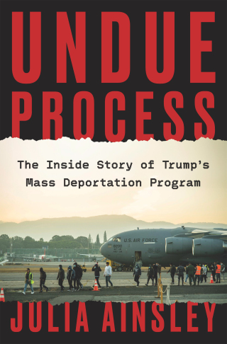 Cover image: Undue Process 9780063468948