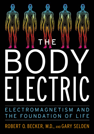 Cover image: The Body Electric 9780688069711