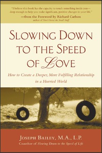 表紙画像: Slowing Down to the Speed of Love 1st edition 9780071402491