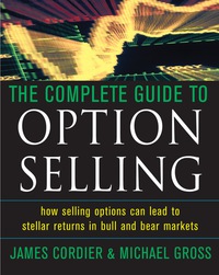 Cover image: The Complete Guide to Option Selling 1st edition 9780071442084