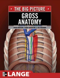 Cover image: Gross Anatomy: The Big Picture 1st edition 9780071476720