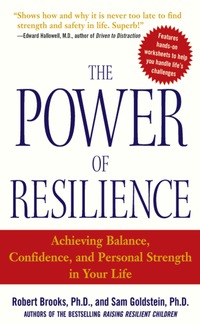 صورة الغلاف: The Power of Resilience 1st edition 9780071431989