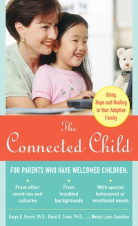 صورة الغلاف: The Connected Child: Bring Hope and Healing to Your Adoptive Family 1st edition 9780071475006