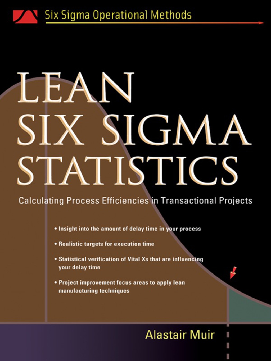 Lean Six Sigma Statistics Calculating Process Efficiencies in Transactional Project 1st Edition